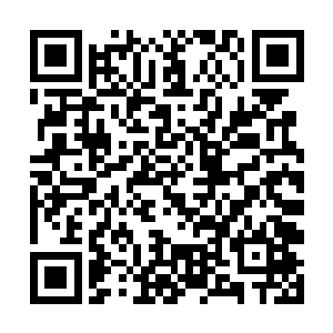可以没有余力竞拍许紫烟和廖不凡炼制出来的仙丹了二维码生成