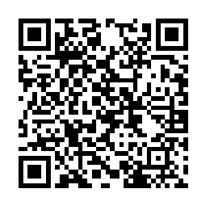 可以清晰的感觉到棺材内有一股生气朝着外面扩散二维码生成