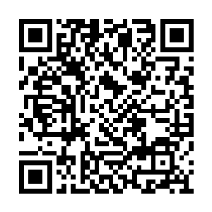 可以清晰的看到它的身体因为突然的痛楚而颤栗二维码生成