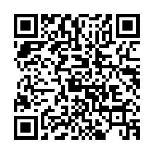 可以清晰的看见一只只飞行魔兽成群结队的在高空中自由的飞翔二维码生成