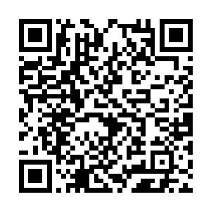 可以清晰看到李耀此刻的各项生理参数都接近归零二维码生成