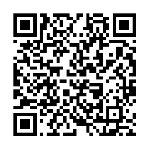 可以清楚的看到丝丝五彩的能量沿着经脉混入四肢百骸二维码生成