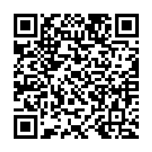 可以用了两年时间在全世界范围内开pcr的各种宣讲会二维码生成