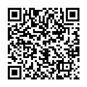 可以用镌刻有高级铭纹的武器战甲发挥出远超自身的实力二维码生成
