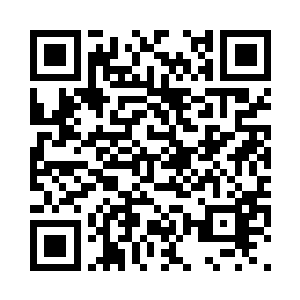 可以直接拿出十多把不同的枪械和弹二维码生成