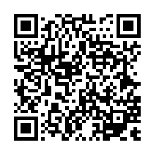 可以看做自己今后正式进入官场前的一个热身运动二维码生成