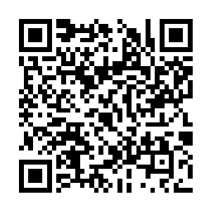 可以看到如今楚旬已经完全化身为了一个触手怪物二维码生成