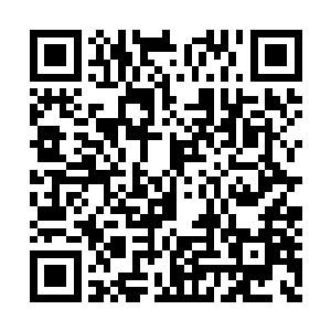 可以看到恒星熊熊的表面不时爆发的耀斑和冕环二维码生成