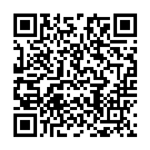 可以看到红袍执事与蓝袍执事早已落入液体的攻击范围二维码生成