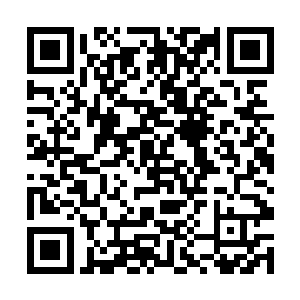 可以看到许妙然的修为正在以肉烟可见的速度提升着二维码生成