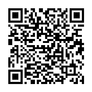 可以看到那头白骨巨象的背上修建着一座三层骨制宫殿二维码生成