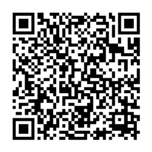 可以看见那扭曲的波动似乎在虚空幻化为一张足有千米长的巨大古琴二维码生成