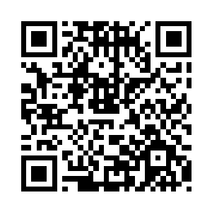 可以算是洪大力少爷的……私人宠物二维码生成