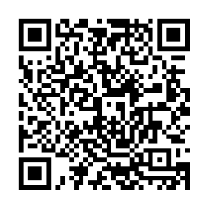 可以肯定的是在那次任务中雪灵表现让她很不满意二维码生成