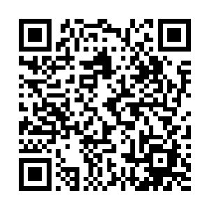 可以获得更为强横的蛟龙血脉……这可是炼丹的极品材料二维码生成