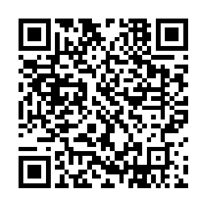 可以观测到外部舱室的液态合金舱壁重新恢复了银白色二维码生成