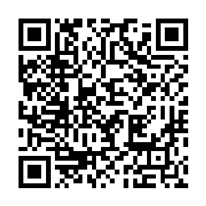 可以让一个普通的滑翔翼变成一个用脚起飞的动力飞行器二维码生成