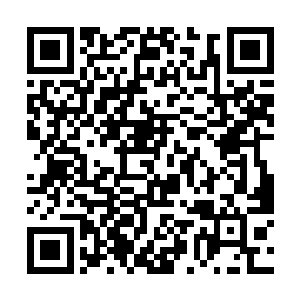 可以让他的朋友带叶楚几人前往红玉山传送离开这里二维码生成