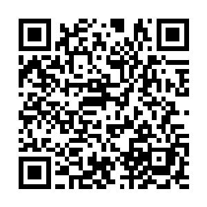 可以让全世界所有观众都看到楚门生活的点点滴滴二维码生成