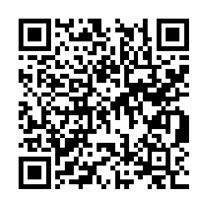 可以让团队的成员们和邀请而来的嘉宾们尽情放松二维码生成