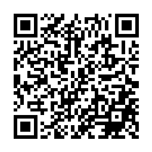 可以让外界看到柳小姐拍片时的认真和不用替身二维码生成