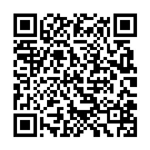 可以让张铁在两者之中用几秒的时间就快速完成转化二维码生成