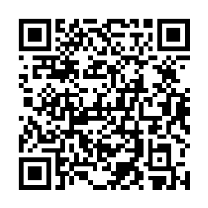 可以证明这个人绝对来自魔族之中非同一般的权势家族二维码生成