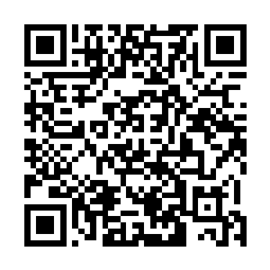 可以说他们如今已经把家族内大半的实力都抽调到了星海二维码生成