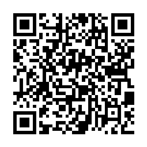 可以说他们的这种打斗比拼的并不是什么招式的玄妙二维码生成