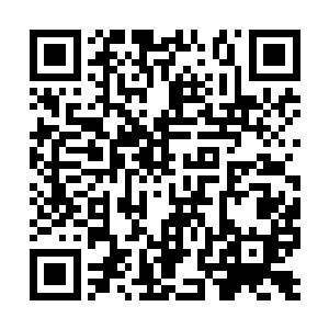 可以说他控制高加索犬咬死韩龙绝对是非常惊险的二维码生成