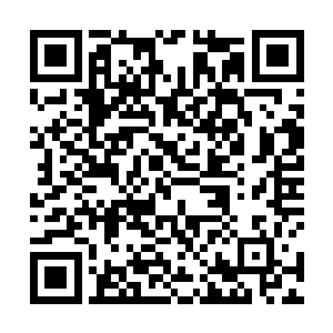 可以说单是那一波就让lcd这边获得了三千多的经济收益二维码生成