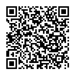 可以说即便是现在的三号人物杜崇山在常委会里的话语权也未必能高过方国纲二维码生成