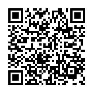 可以说在投胎的时候你就已经落在了人家的后面二维码生成