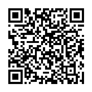 可以说在那个时候的帝乃是天地之间第一强大的存在二维码生成