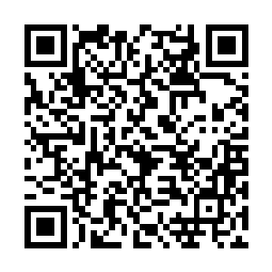 可以说如今火莲所拥有的力量已经强到了什么程度二维码生成