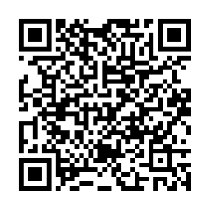 可以说如果你的表现值得被提名奥斯卡甚至是获奖二维码生成