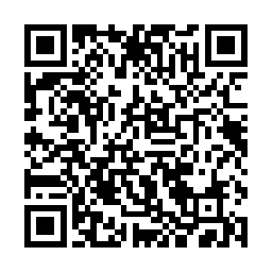 可以说我的肉体已经全都被炼化成了毫无生机的飞灰二维码生成