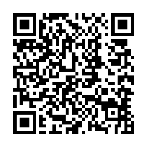 可以说整个玲珑宝塔的财富我和烈环一个人拿了三分之一走二维码生成