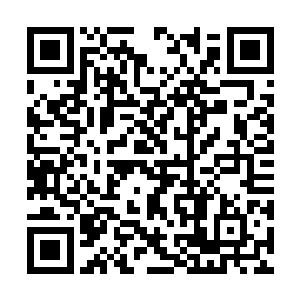 可以说是他们的友……她们的紧密合作关系的见证二维码生成