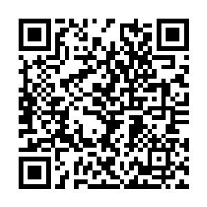 可以说是吸引了整个大秦帝国的顶尖权贵们的目光二维码生成