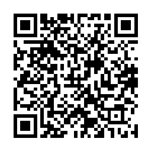 可以说是她亲手把司马家的家业操持到今天的显赫地位二维码生成
