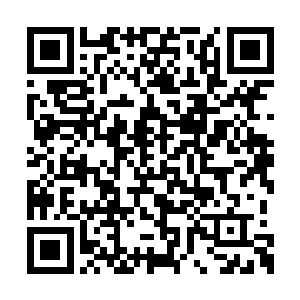 可以说是将烈焰助纣为虐的吹向了旁边的仵作房二维码生成