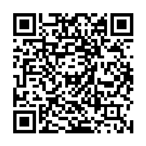 可以说是已经严密到了就连一只苍蝇都飞不进来的程度二维码生成