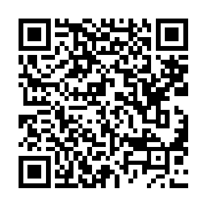 可以说现在秦宝华被黄鑫林这一手逼到了进退两难的境地二维码生成