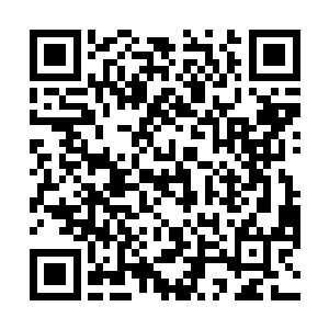 可以说石爱国能在人生的前半段得到很好的利用和提拔二维码生成
