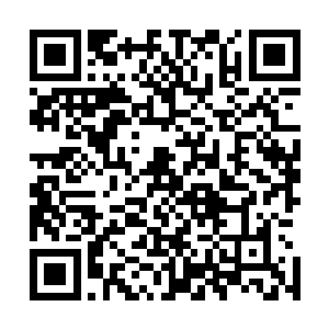 可以说这个公司这几年就净靠着贝海给活儿活的妖气了起来二维码生成