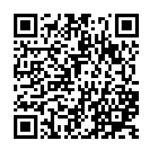 可以说这几年的时间可是许德拉最为开心的时间了二维码生成