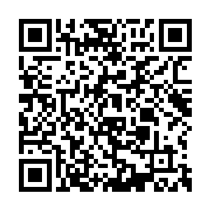 可以说这次的结果和上次争夺暗魔之心相差无几二维码生成