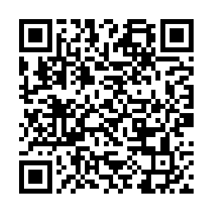 可以说这部电影的强势在演技部门确实很难占到便宜二维码生成