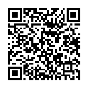 可以说陈昂是杨晨试探着向世俗之中伸出的一只触手二维码生成